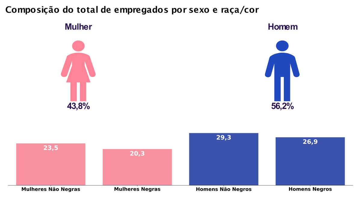 Composição do total de empregados por sexo e raça/cor